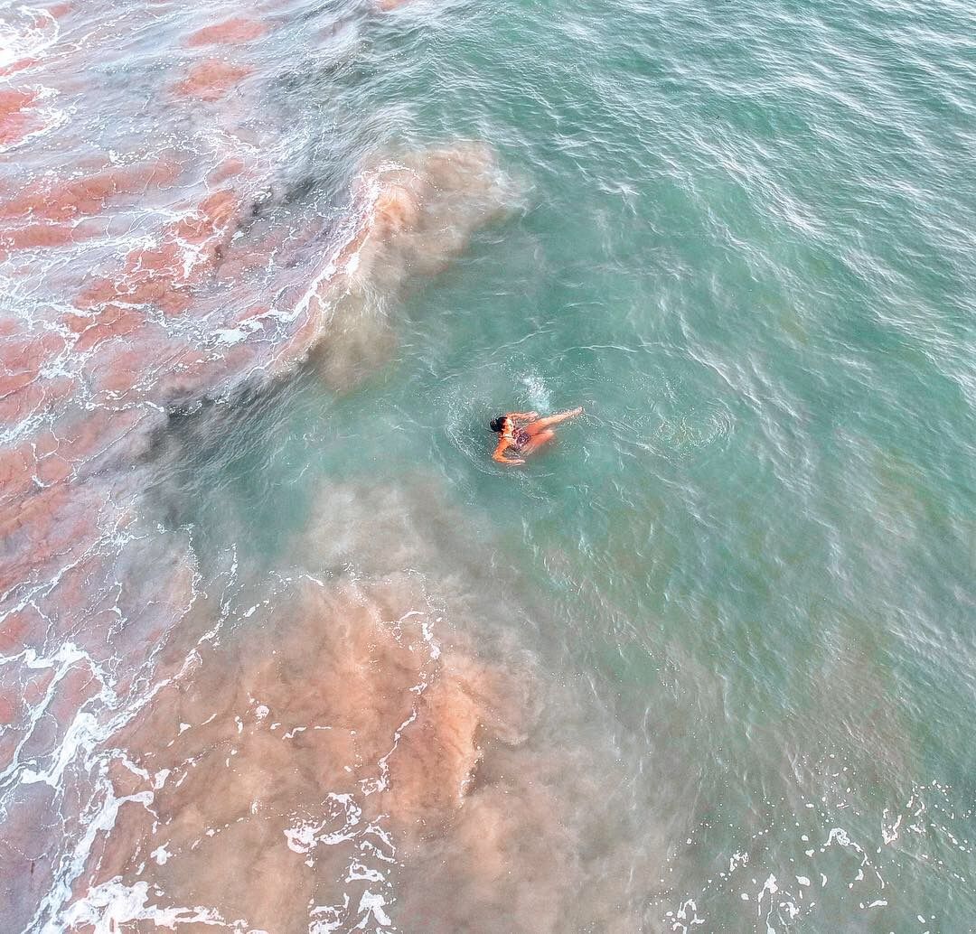 Solriah swimming, seen from above